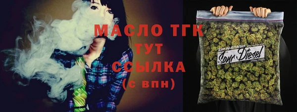 шишки Абаза