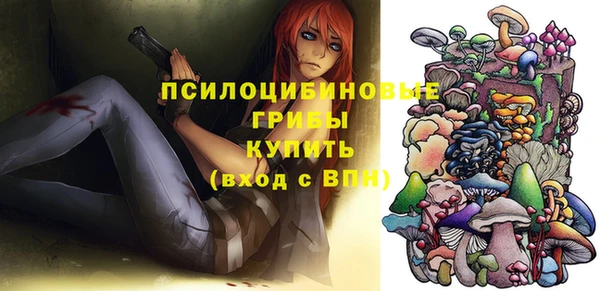 2c-b Алексин