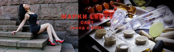 шишки Абаза