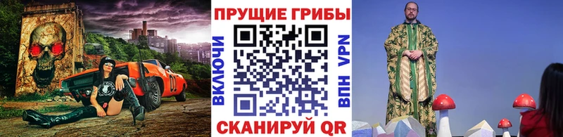 Галлюциногенные грибы мухоморы  hydra ТОР  Козловка 